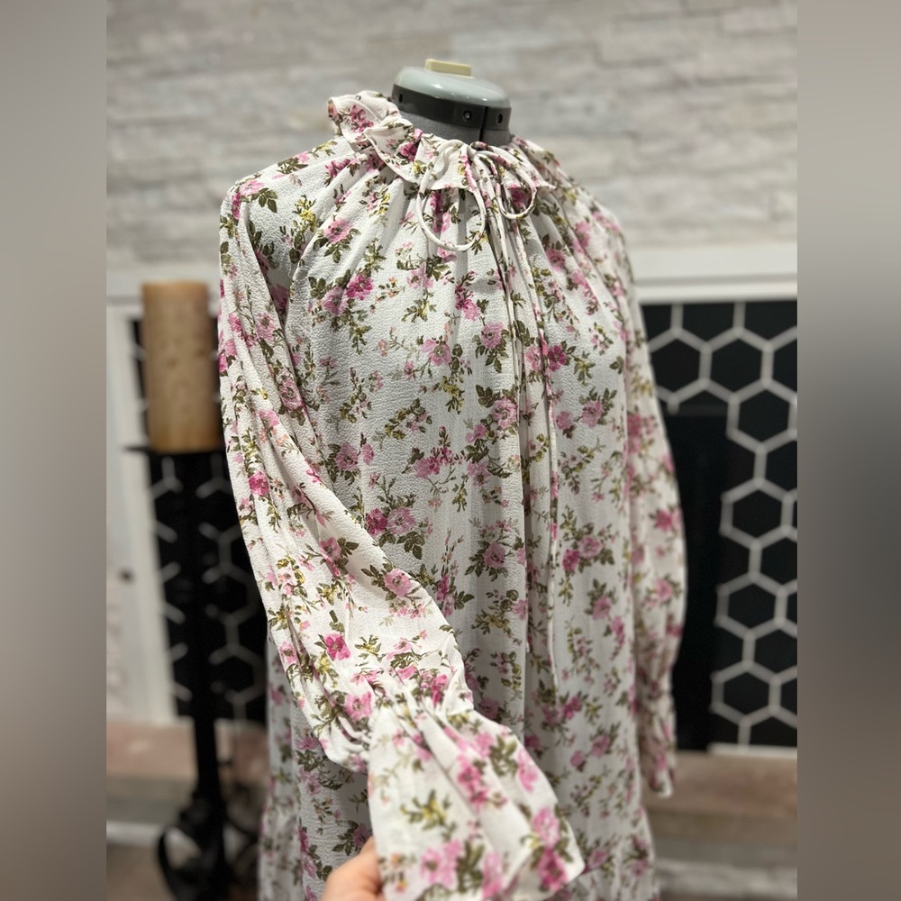 VICI Floral Long Sleeve Chiffon Maxi Dress XS
